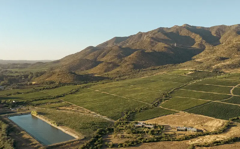 Koyle's vineyards seen from above