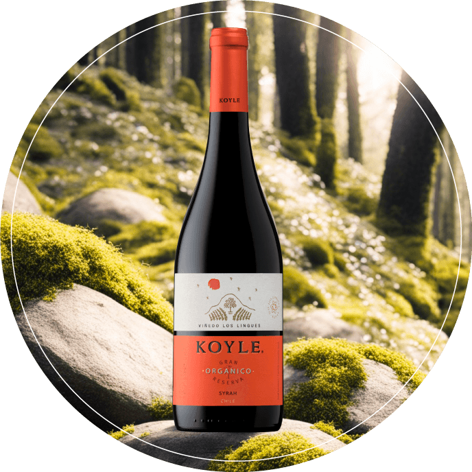 Gran Reserva Orgánico Syrah